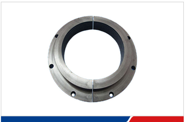 PEEK gas sealing ring