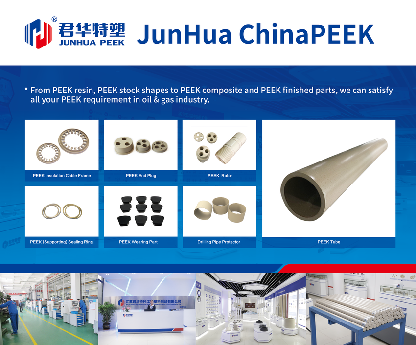 Application of PEEK (polyetheretherketone) in petrochemical industry