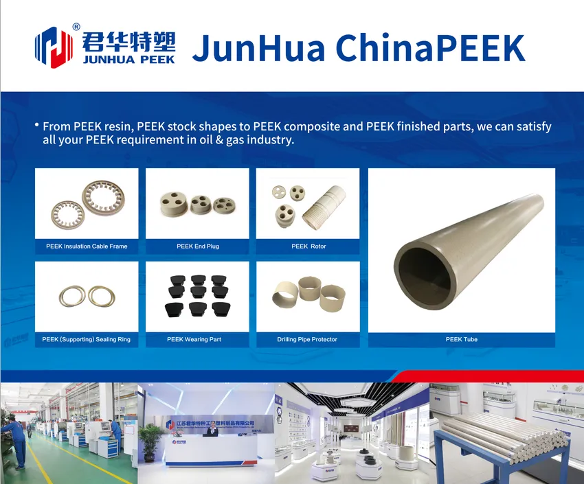 Application of PEEK (polyetheretherketone) in petrochemical industry