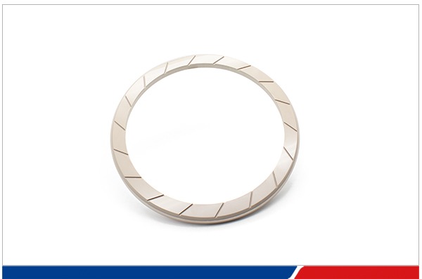 CMP retaining ring