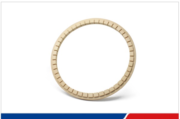 PPS CMP retaining ring